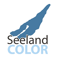 Logo Seeland Color Maler- und Gipsergeschäft Hügli