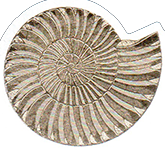 Logo Weingut Klushof