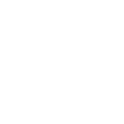 Logo CaSy