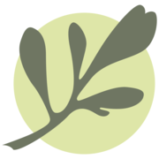 Logo Ricken Drogerie GmbH