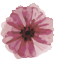 Logo flurettas