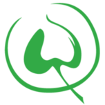 Logo Lindenhofspital