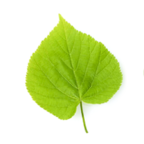 Logo Linde