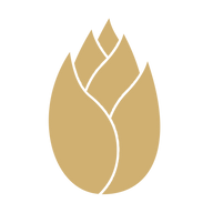 Logo Na Village