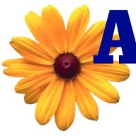 Logo AdWork Informatik, Mausexpress