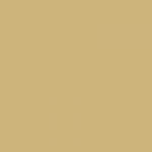 Logo Ottica Lange