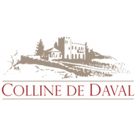 Logo Castel de Daval