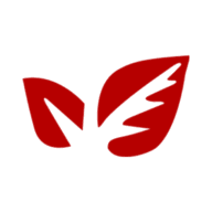 Logo Vesuvius Neuchâtel