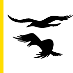 Logo Stiftsschule Einsiedeln