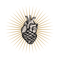Logo La Catedral