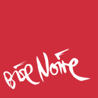 Logo Bise Noire Surfcenter Murten