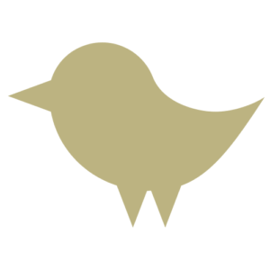 Logo Birdy's by Achtien - The Nest