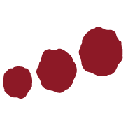 Logo Deinkick Seilpark