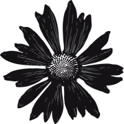 Logo Drogerie Schneider