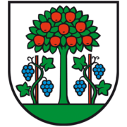 Logo Praxis Dr. med Stäubli