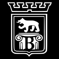 Logo VUE