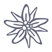 Logo zahnarztzentrum.ch Wil
