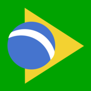 Logo Botschaft Brasilien