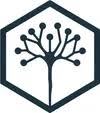 Logo Insula Care Zürich