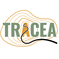Logo MONVTT