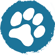 Logo Animove