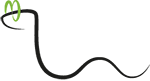 Logo Brillen Kündig
