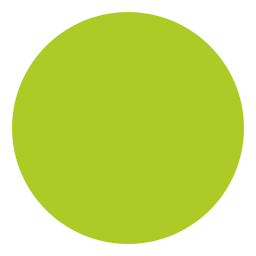 Logo Bacher+Schmidt Elektro AG