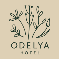 Logo Ayledo