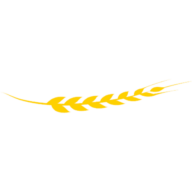 Logo Panesano
