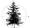 Logo Pine