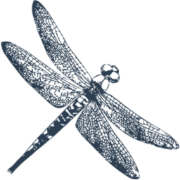 Logo Libelle mit H&B