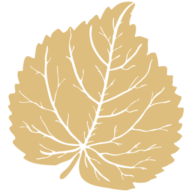 Logo Abri des Marches
