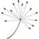 Logo Christliche Schule Dübendorf