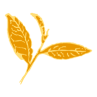 Logo Oasis