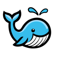 Logo Woshy Car Wash