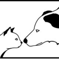 Logo WaBären