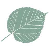 Logo Hotel Linde