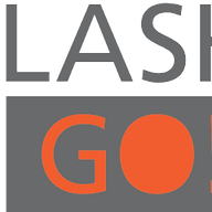 Logo Flash And Go