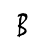 Logo Bidlingmeyer
