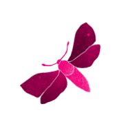 Logo "XENIA, Fachstelle Sexarbeit"