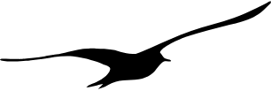 Logo Kinderkrippe Möwe