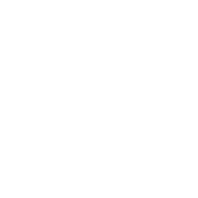 Logo Flores Blumenbinderei