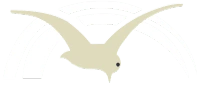 Logo LAMIR International GmbH