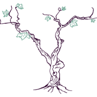 Logo "Vendanges, vins et spiritueux"