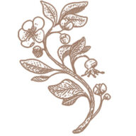 Logo Masion Diwa
