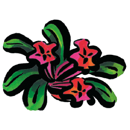 Logo Alpenrose