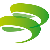 Logo Brönnimann