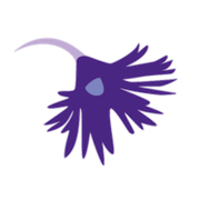 Logo Les Soldanelles