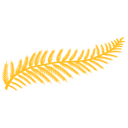 Logo Praxis Felsenau