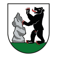 Logo Sternschnuppen Bünter